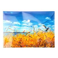 Opakowanie Teczka kopertowa PP A5 Niebo