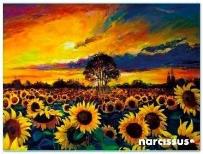 Opakowanie Teczka kopertowa PP A7 Słoneczniki