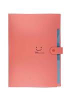 Opakowanie Teczka plastikowa A4 z 5 przegródkami czerwona