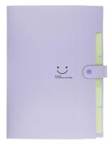 Opakowanie Teczka plastikowa A4 z 5 przegródkami fioletowa