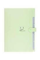Opakowanie Teczka plastikowa A4 z 5 przegródkami zielona