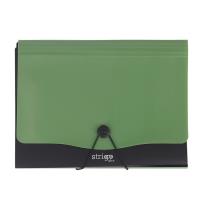 Opakowanie Teczka Vfile A4 z 13 przekładkami c.zielona STRIGO