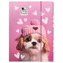 Opakowanie Teczka z gumką A4 Cleo i Frank 42 (Pies) DERFORM