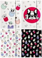 Opakowanie Teczka z gumką A4 Minisy