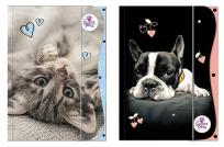 Opakowanie Teczka z gumką A4 The Sweet Pets