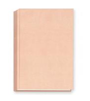 Opakowanie Terminarz 2024 A5 dzienny - wkładka złocona