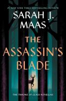 Okładka książki TOG:Assassin’s Blade TOG Adult
