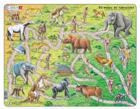 Opakowanie Układanka Droga od małpy do człowieka 83 elementy