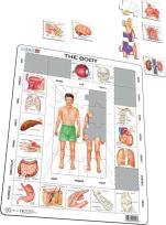 Opakowanie Układanka Nasze ciało Maxi (36.5x28.5 cm)