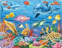 Opakowanie Układanka Rafa koralowa  35 elementów