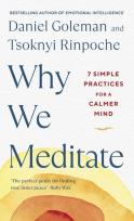 Okładka książki Why We Meditate