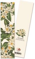 Opakowanie Zakładka do książki 9114 Fiori D'arancio Kwiat