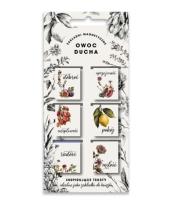 Opakowanie Zakładki magnetyczne - Owoc Ducha 6szt