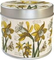 Opakowanie Zapachowa świeczka 236 żonkile - zapach cytrynowy