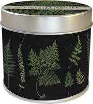 Opakowanie Zapachowa świeczka 98 - paproć - zapach lasu