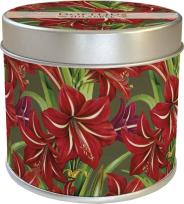 Opakowanie Zapachowa świeczka jabłko Święta Bożego Narodzenia