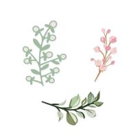 Opakowanie Zestaw wykrojników - Gałązki 3szt