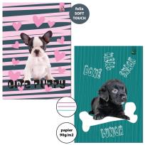 Opakowanie Zeszyt A4/32K 3-linie kolor 90g BF Psy (5szt)