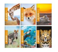 Opakowanie Zeszyt A4/36K linia Be More Wild (10szt)