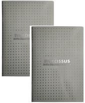 Opakowanie Zeszyt A4 48k kropki Narcissus szary 2 sztuki