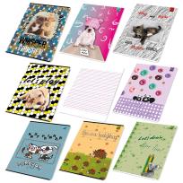 Opakowanie Zeszyt A5 16 k. w 3 linia kolorowa Best Friend paczka 20szt.