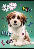 Opakowanie Zeszyt A5 16k 3-linia kolorowa MY LITTLE FRIEND mix 1szt.