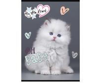 Opakowanie Zeszyt A5 16k 3-linia kolorowa my little friend mix pakiet 15 szt.