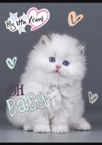 Opakowanie Zeszyt A5 32k kratka my little friend mix pakiet 15 szt.