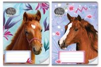 Opakowanie Zeszyt A5/32K linia Nice&Pretty (10szt)