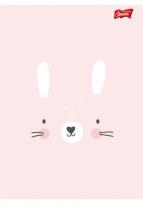 Opakowanie Zeszyt A5 32K trzylinia dwukolorowa CUTE FACE PAKIET 15 SZTUK