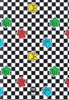 Opakowanie Zeszyt A5 60k kratka Coolpack Catch Me