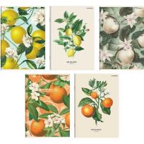 Opakowanie Zeszyt A5/60K kratka Summer (10szt) TOP2000