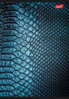 Opakowanie Zeszyt A5 60K linia AFTER DARK PAKIET 10 SZTUK