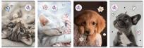 Opakowanie Zeszyt A5/60K linia The Sweet Pets (5szt)