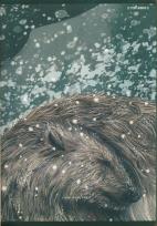 Opakowanie Zeszyt A5/80k krata Forest