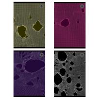 Opakowanie Zeszyt A5/80K kratka Tear (5szt)