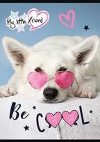 Opakowanie Zeszyt A5 w trzy linie 32 kartki My little friend 15 sztuk mix