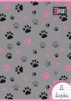 Opakowanie Zeszyt do nauki pisania A4 32k. 3-linia kolorowa ST.RIGHT mix. dziewczęcy pakiet 15 szt.