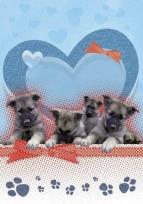 Opakowanie Zeszyt w linie. Pieski