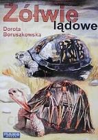 Okładka książki Żółwie lądowe