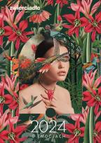 Okładka książki Zwierciadło 2024 o emocjach - uszkodzone