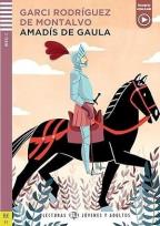 Okładka książki Amadis de Gaula
