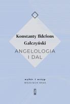 Okładka książki Angelologia i dal