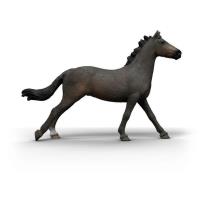 Opakowanie Angielska klacz rasy pełnej krwi