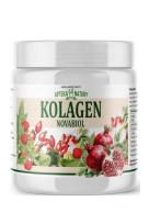 Zdjęcie produktu Apteka Natury Kolagen Novabiol 273g