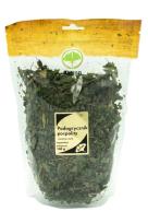 Zdjęcie produktu Astron Podagrycznik pospolity 100g