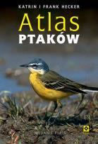 Okładka książki Atlas ptaków