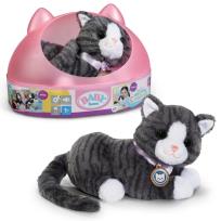 Opakowanie Baby born - My Cat Cookie