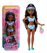 Opakowanie Barbie Dream Besties Brooklyn