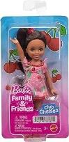 Opakowanie Barbie Family & Friends Doll